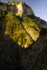 _IMG2710