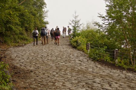 06 Mt Fuji (12)