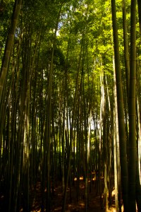 03 Kyoto (10)