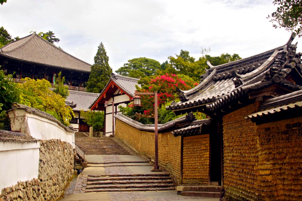 02 Nara (26)