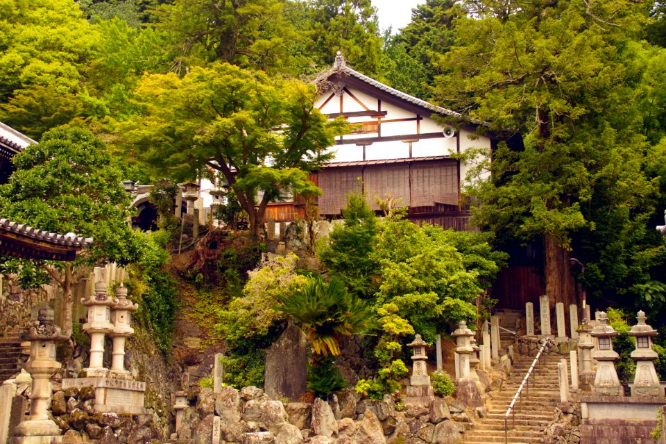 02 Nara (24)