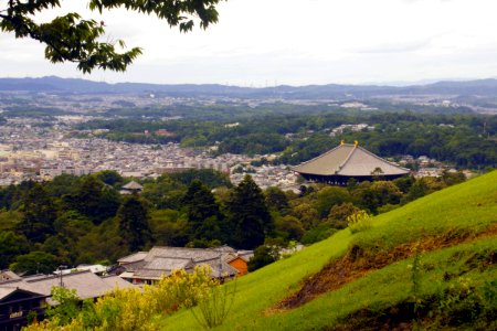 02 Nara (15)