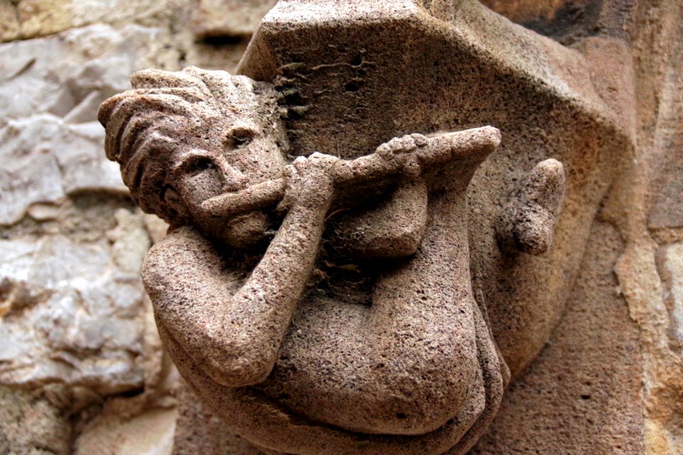 IMGP9748