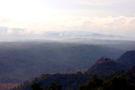 IMGP9704