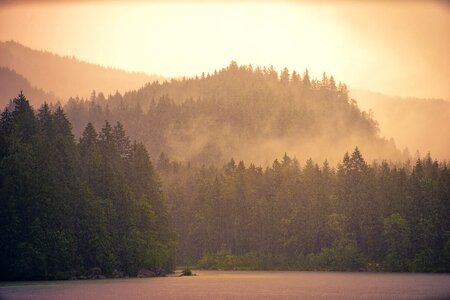Sunset wood forest photo