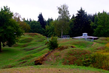IMGP8264