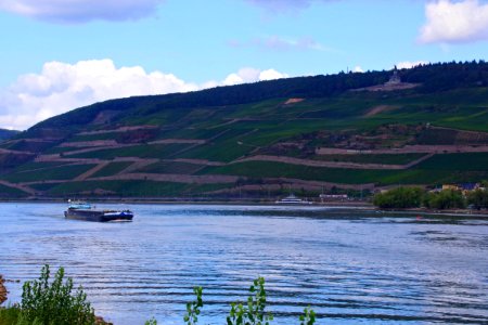 IMGP8202