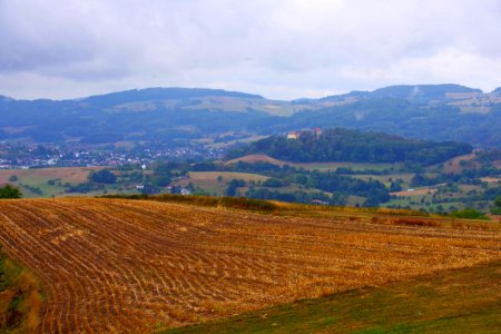 IMGP8173