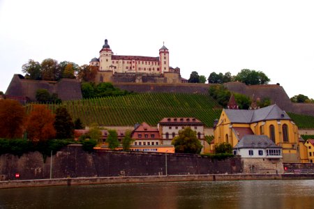 IMGP8151