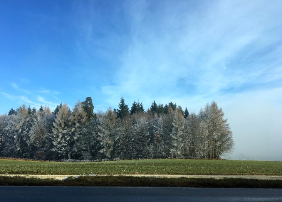 Landscape cold christmas