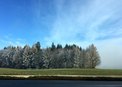 Landscape cold christmas