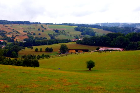 IMGP8106