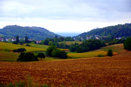 IMGP8098