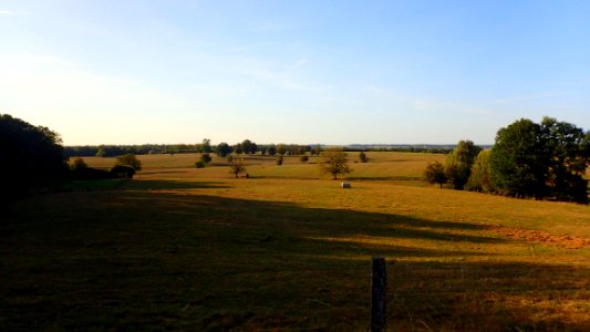 P8221544