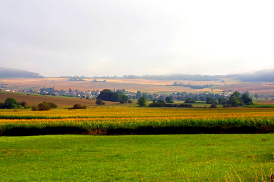 IMGP7943