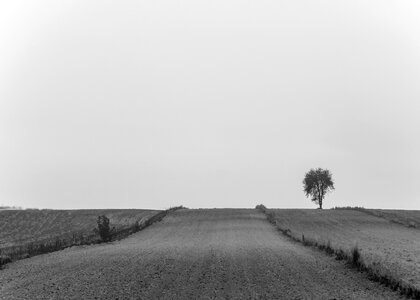 Fields grass farm photo