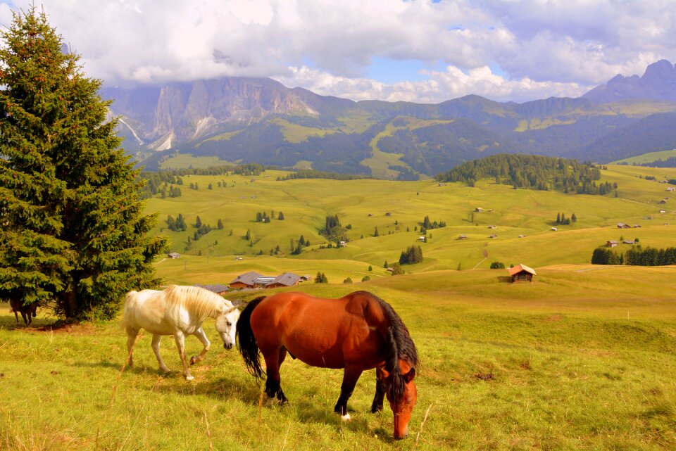 Prato dolomites mountain