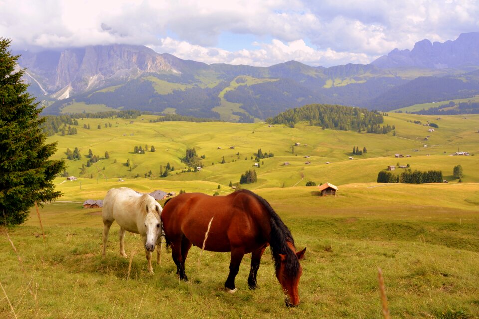 Prato dolomites mountain