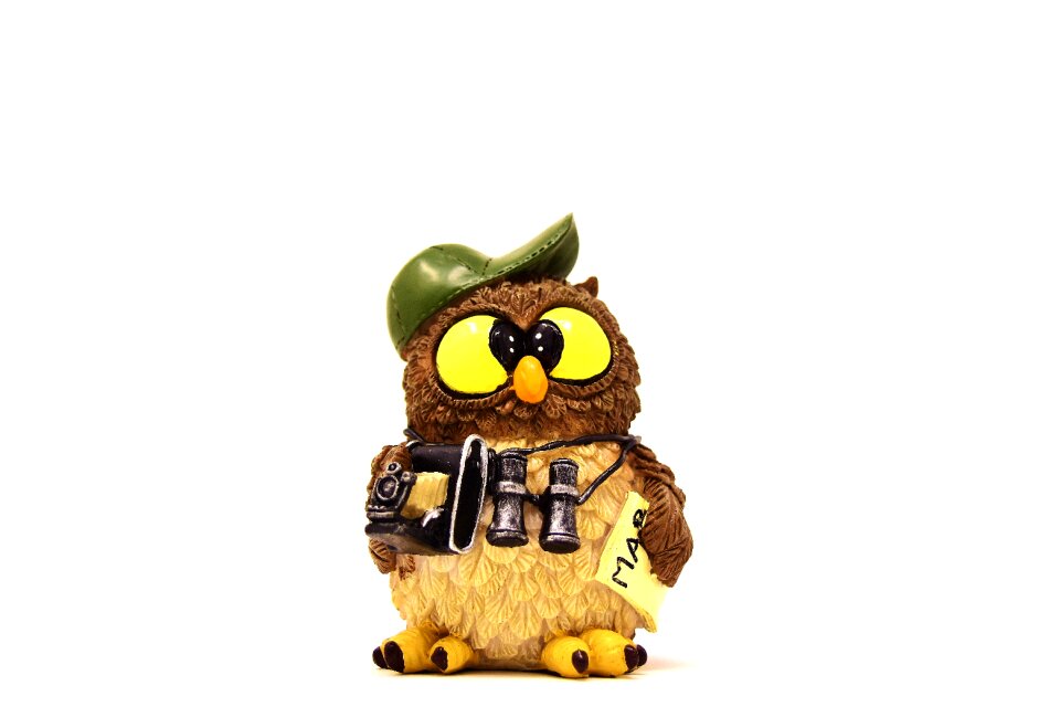 Tourist binoculars camera