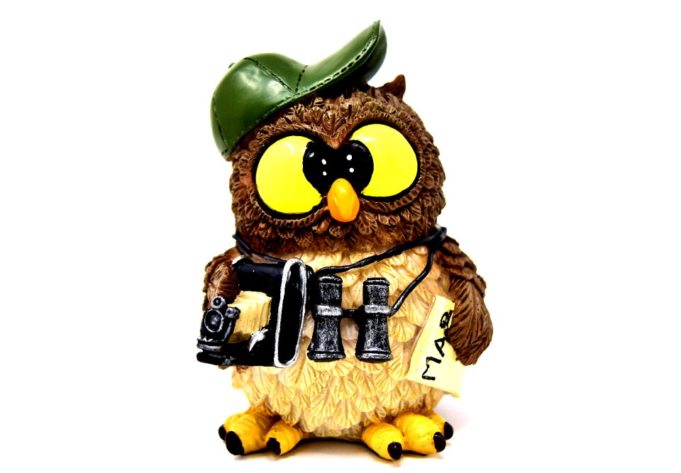 Tourist binoculars camera