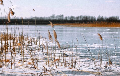 Lake river winter photo