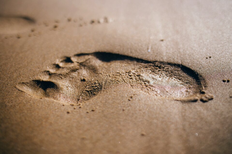Beach sand summer
