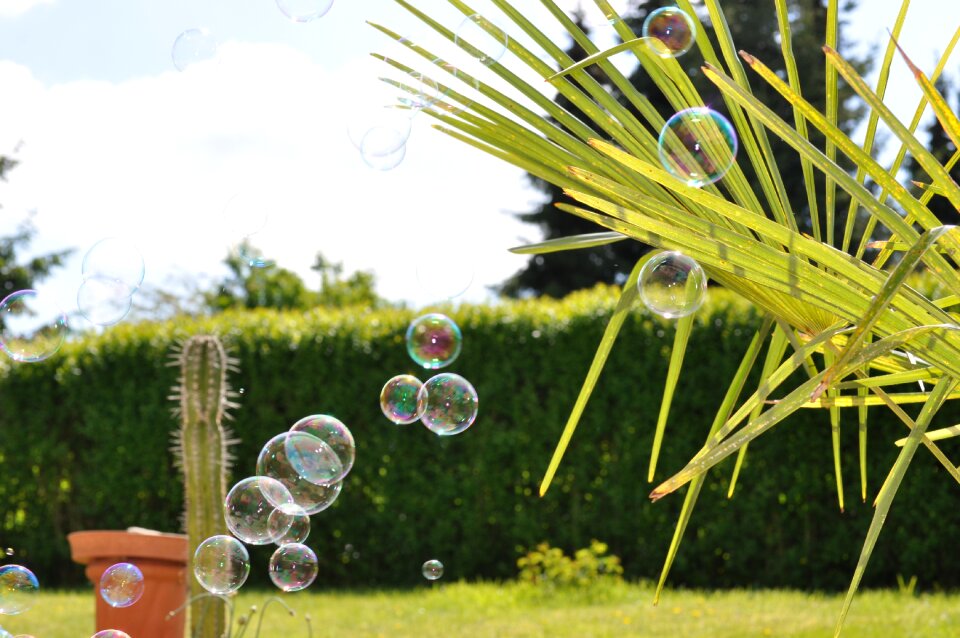 Schönwetter sun soap bubbles