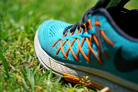 Running orange grass