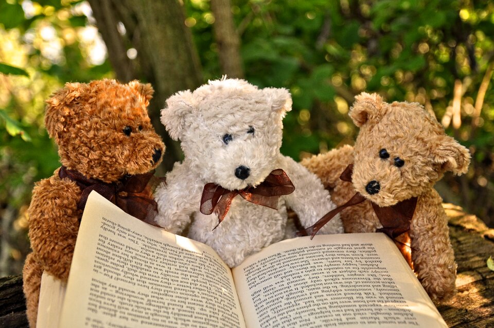 Cuddly toy teddy stuffed