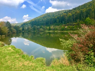 Möhringen germany pond