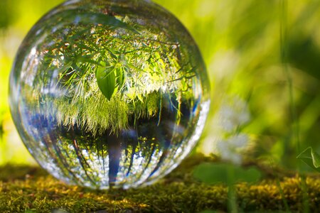 Nature spherical reflection photo
