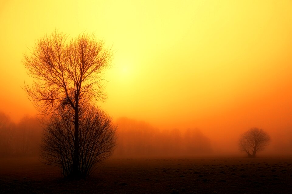 Sun fog foggy