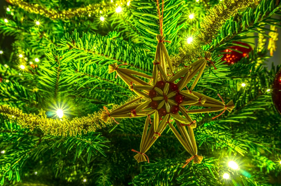Winter ornament decoration