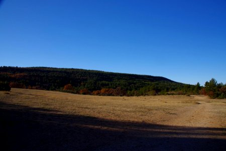 IMGP2468