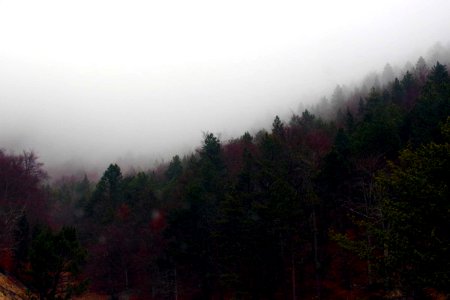 Jour 07 (9)