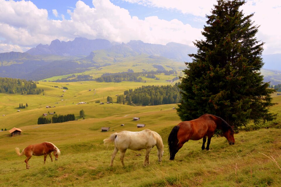 Prato dolomites mountain