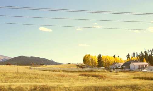 Countryside nature sunshine