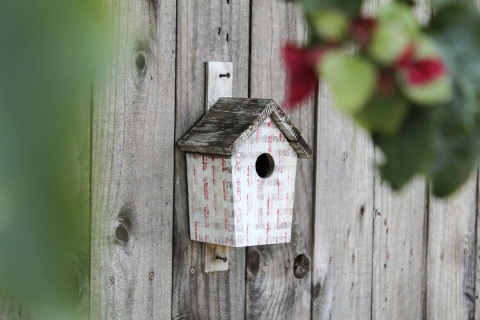 House door outdoors