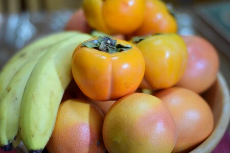 Rosewood autumn fruit photo