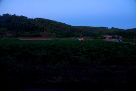 IMGP0492