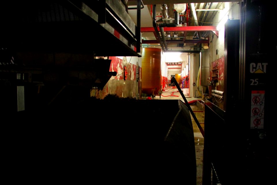 IMGP0297