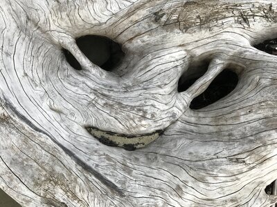 Alien smile beach