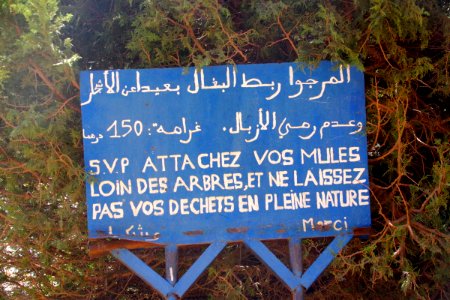 Jour 04 (25)