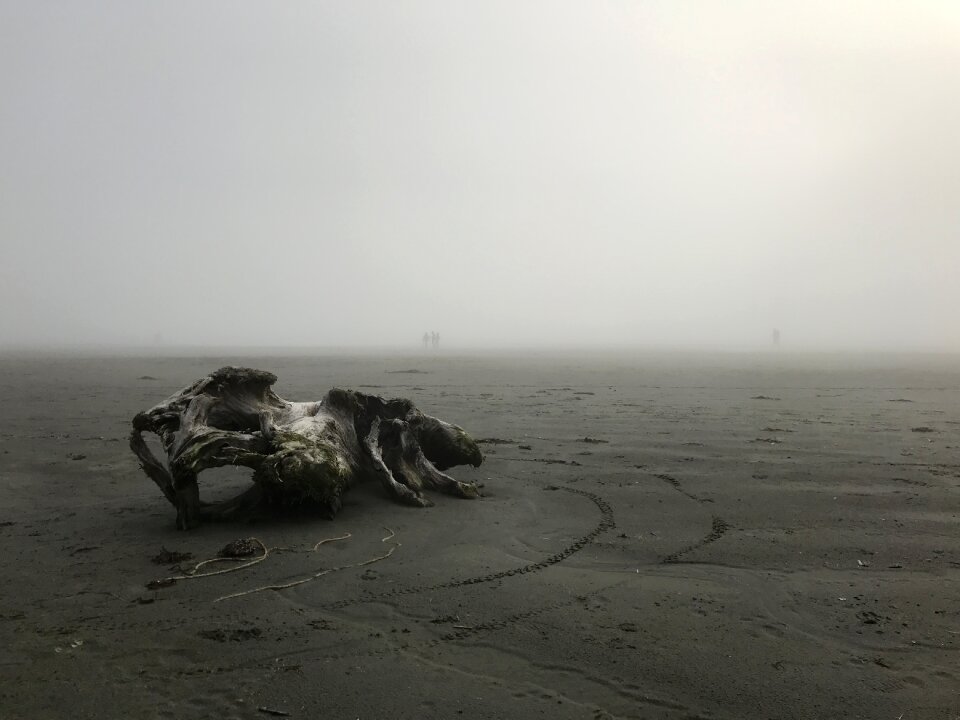 Ocean shoreline coast