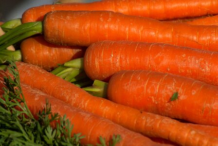 Food vegetable harvest