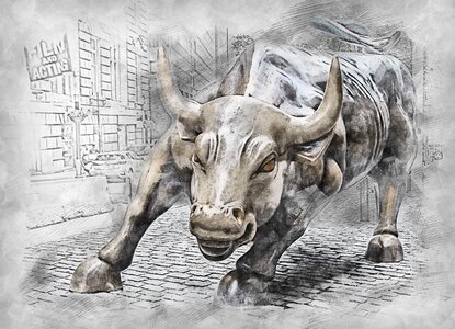 Animal finance stock