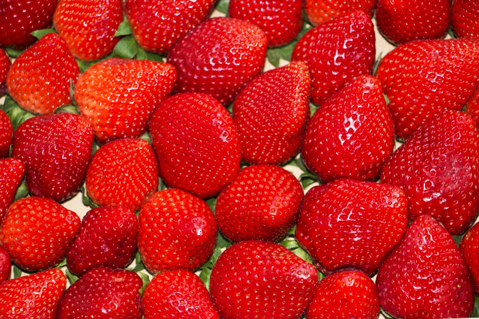 Fresh food juicy