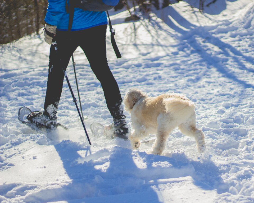 Snow winter snowshoe