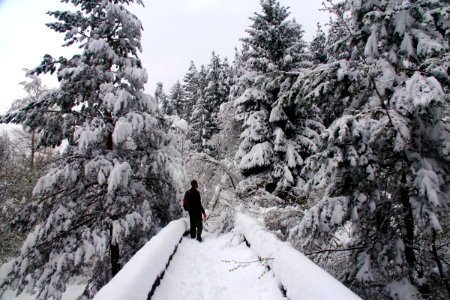 01 Sarajevo (85)