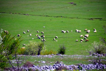 01 Route vers Mostar (43)